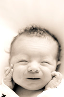 Newborn Gallery